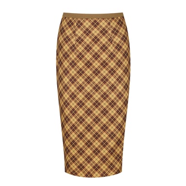 Print Fitted Midi Skirt with Zip