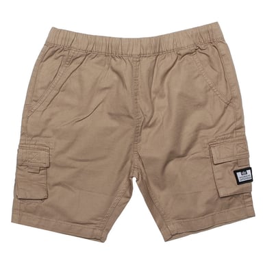 Boy's Weekend Offender Infant Mascia Cargo Short in Stone
