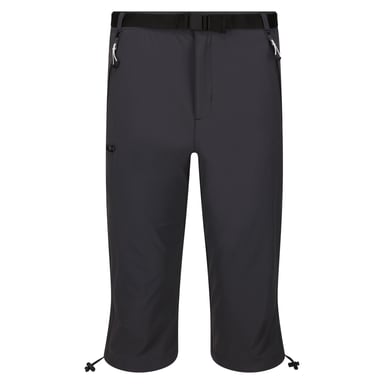 Regatta Mens Xert Stretch III Stretch Active Capri Shorts (Seal Grey)