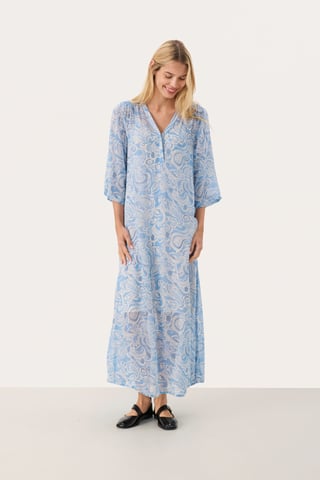 Dress Regular fit Silver Lake Paisley Print