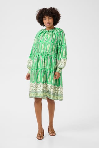 Jurk Feminine Green Paisley Border multicolour