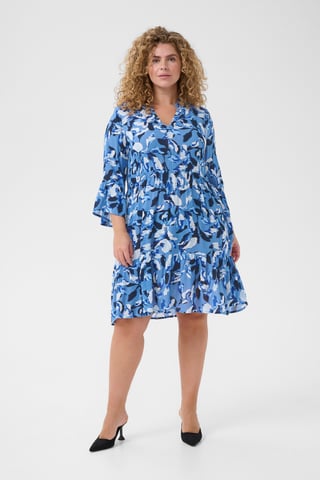 Dress Regular fit