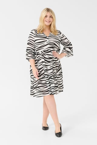 Dress A-Line