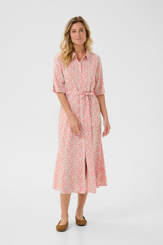 Dress Feminine Silhouette Sepia Rose Flower