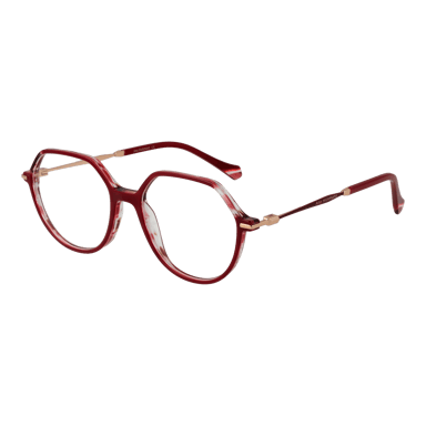 Ana Hickmann Glasögon AH6480 52H02