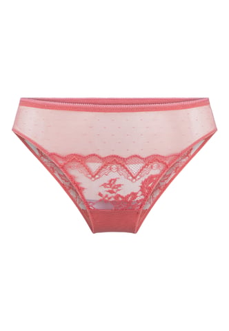 Lingadore Brief