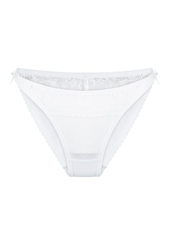 Lingadore Brief