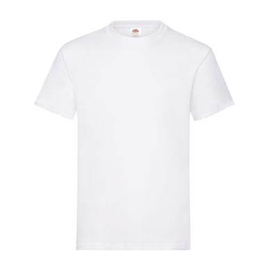 Fruit of the Loom Unisex Adult Plain Cotton Heavy T-Shirt (White)