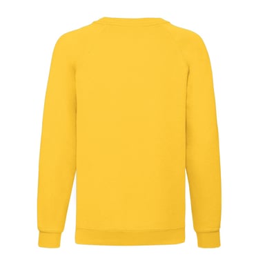Fruit Of The Loom Childrens/Kids Classic Raglan Sweatshirt (Royal Blue)