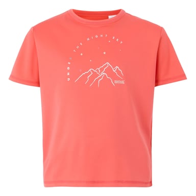 Regatta Childrens/Kids Alvarado IX Mountain T-Shirt (Peach Bloom)