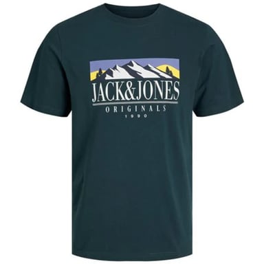 Jack & Jones Jorwalter tee