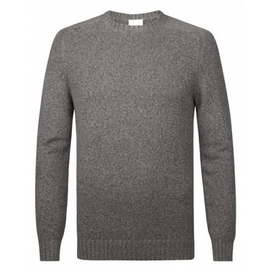 Profuomo Trui ronde hals