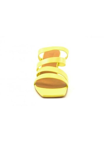 Toral Tl-12672
