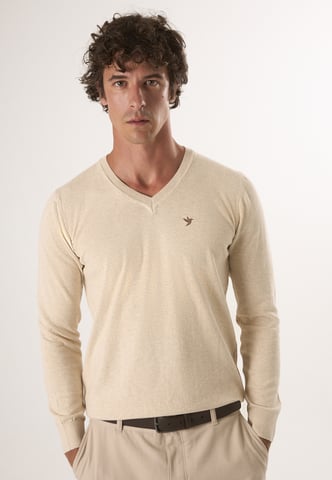 Pullover V-Neck Sweater