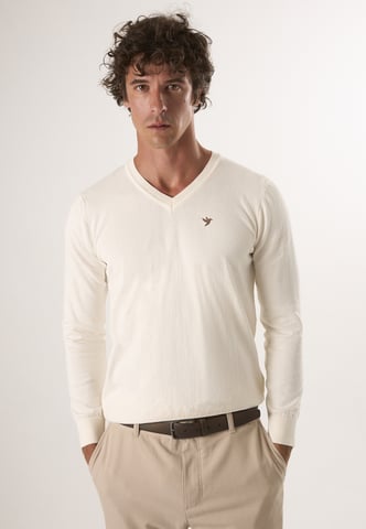Pullover V-Neck Sweater