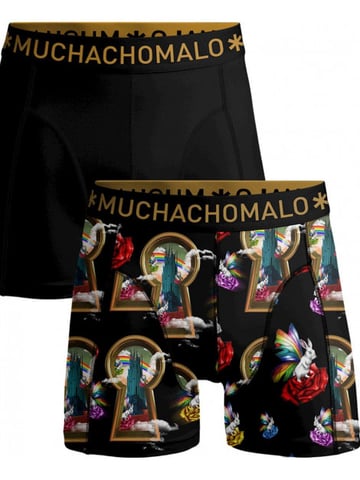 Muchachomalo Boxer overtherain