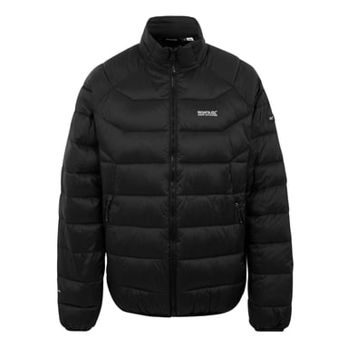 Regatta Mens Dalent Padded Jacket (Black)