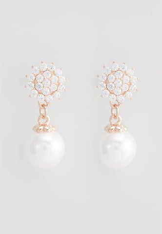 U.S. Polo Assn Jewellery Soleil Rose Gold Earrings