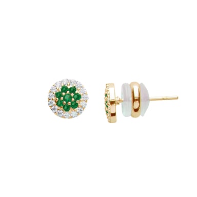 U.S. Polo Assn Jewellery Celine Yellow Gold Earrings