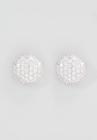 U.S. Polo Assn Jewellery Courtney Rhodium Earrings