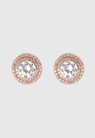 U.S. Polo Assn Jewellery Cristal Rose Gold Earrings