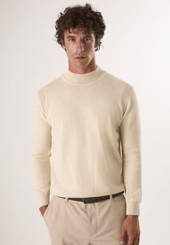 Pullover Half Turtleneck Sweater