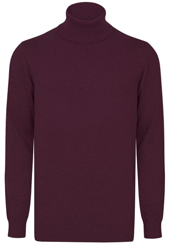 Pullover Turtleneck Pullover
