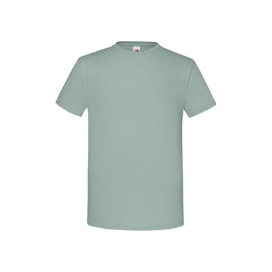 Fruit of the Loom Unisex Adult Iconic T-Shirt (Sage)