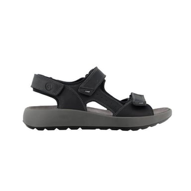 Ara 11-21506 piero