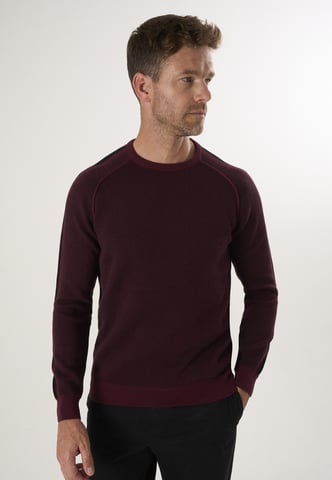 Pullover Crew Neck Basic Pullover