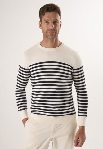 Pullover Crew Neck Basic Pullover