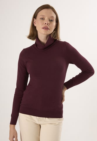 Pullover Turtleneck Pullover