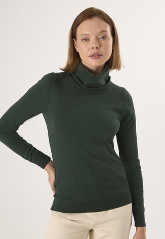 Pullover Turtleneck Pullover