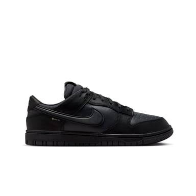 NIKE DUNK LOW GTX