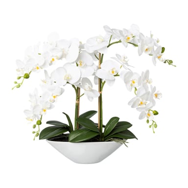 Kopu ® kunstbloem orchidee 53 cm met schaal ovaal phalenopsis