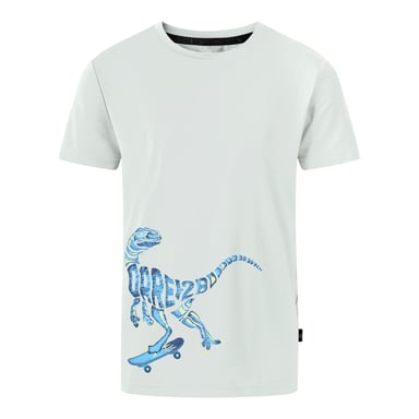 Dare 2B Jongens Amuse II Velociraptor T-Shirt (Aqua Grijs)