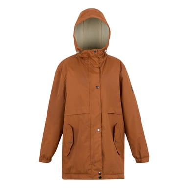 Regatta Womens/Ladies Brielly Insulated Waterproof Jacket (Glazed Ginger)