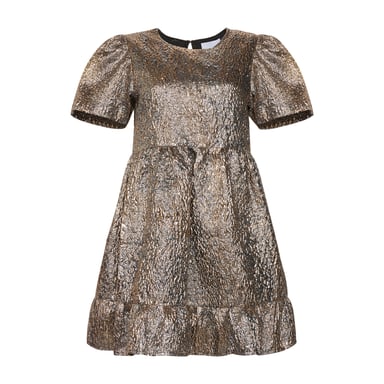 Maine Taylor Dress in Silver & Gold