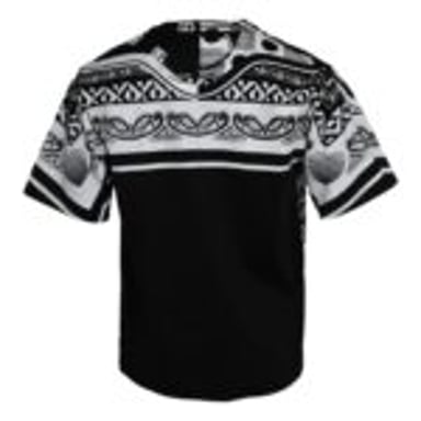 Vneck Short Sleeve Shirt