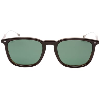 Hugo Boss Brown Striped Frame Brown Lens Sunglasses