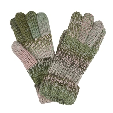 Regatta Womens/Ladies Frosty VI Winter Gloves (Basil)