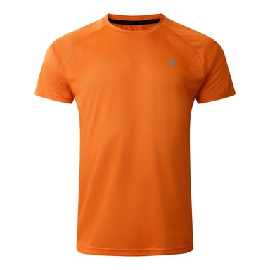 Dare 2B Mens Accelerate Lightweight T-Shirt (Spicy Route)
