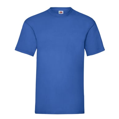 Fruit of the Loom Unisex Adult Valueweight T-Shirt (Royal Blue)