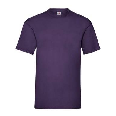 Fruit of the Loom Unisex Adult Valueweight T-Shirt (Purple)