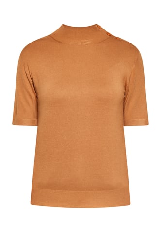 usha Pullover women camel