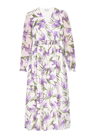 usha Dress women