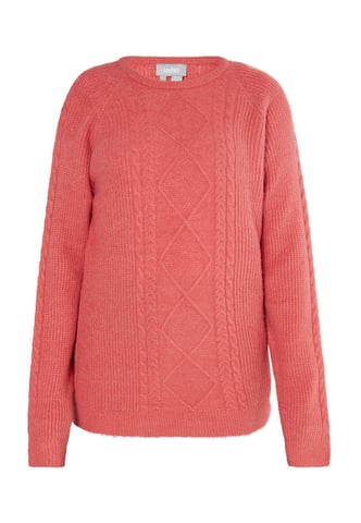 usha Knitted pullover women