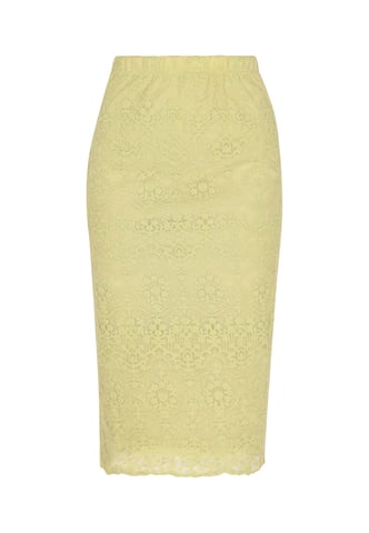 Faina rok vrouwen Groen
