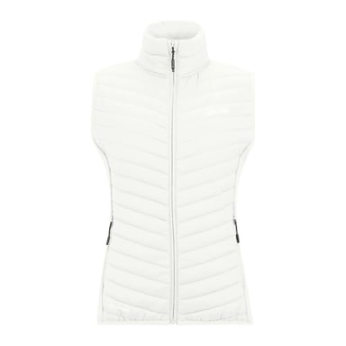 Regatta Dames/Dames Andreson Hybride Gilet (Wolk)