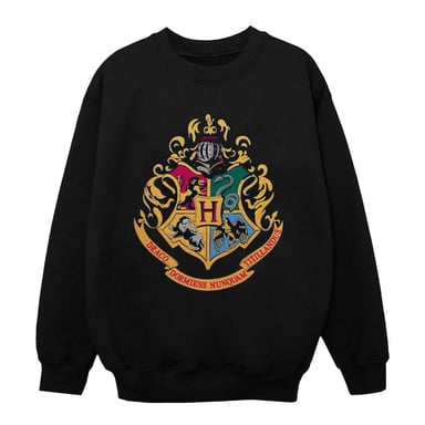Harry Potter Boys Hogwarts Crest Gold Ink Sweatshirt (Black)